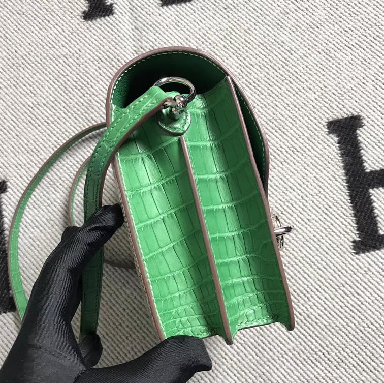 Hermès(爱马仕)Roulis猪鼻包 配蜥蜴皮 仙人掌绿 银扣 18cm-拉尔森鳄鱼皮具定制 - 爱马仕包包官网 Hermès(爱马仕)Roulis猪鼻包 配蜥蜴皮 仙人掌绿 银扣 18cm