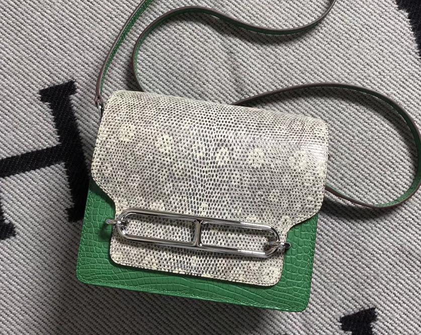 Hermès（爱马仕）Roulis猪鼻包 配蜥蜴皮 仙人掌绿 银扣 18cm