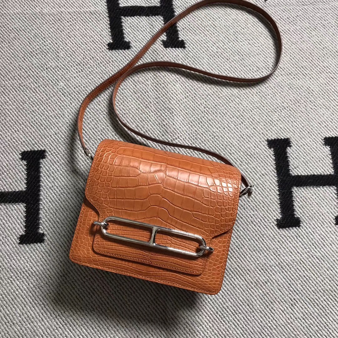 Hermès（爱马仕） Roulis猪鼻包 美洲浅棕色 银扣 18cm