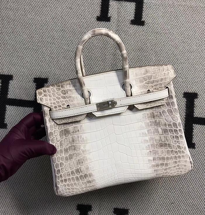 Hermès（爱马仕）Birkin 铂金包 喜马拉雅 银扣 25cm