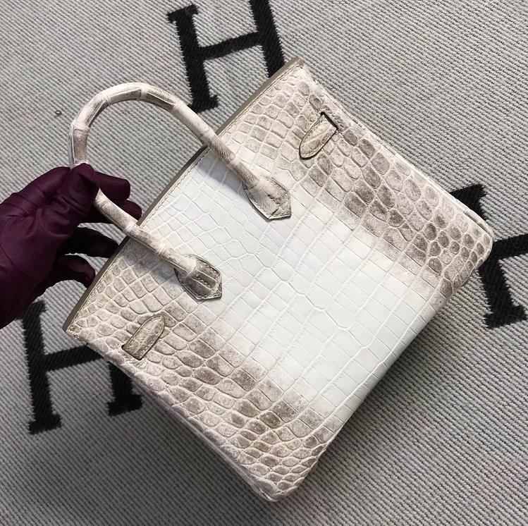 Hermès（爱马仕）Birkin 铂金包 喜马拉雅 银扣 25cm