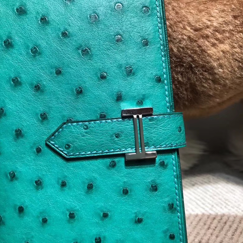 Hermès（爱马仕）bearn两折钱夹鸵鸟皮 U4 Vertigo 丝绒绿 银扣