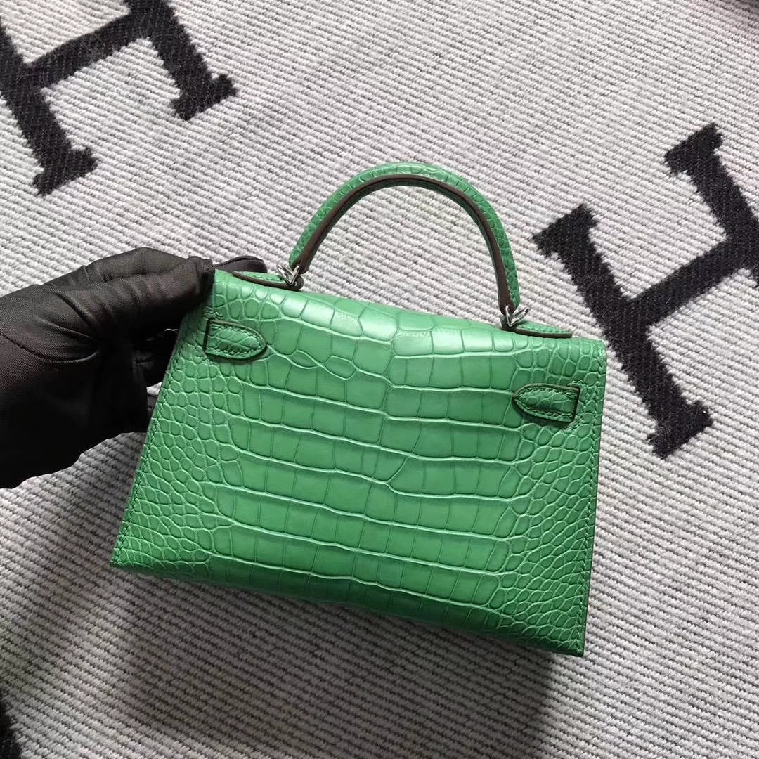 Hermès(爱马仕)小极品仙人绿mini 2代 美洲鳄鱼雾面-拉尔森鳄鱼皮具定制 - 爱马仕包包官网 Hermès(爱马仕)小极品仙人绿mini 2代 美洲鳄鱼雾面
