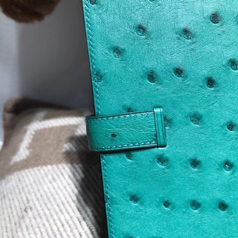 Hermès（爱马仕）bearn两折钱夹鸵鸟皮 U4 Vertigo 丝绒绿 金扣