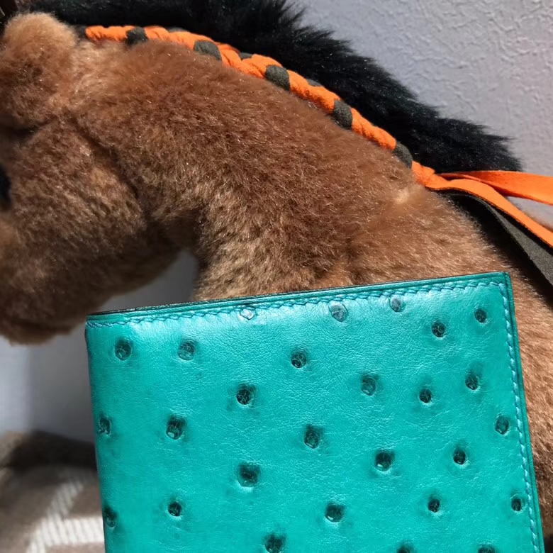 Hermès（爱马仕）bearn两折钱夹鸵鸟皮 U4 Vertigo 丝绒绿 金扣