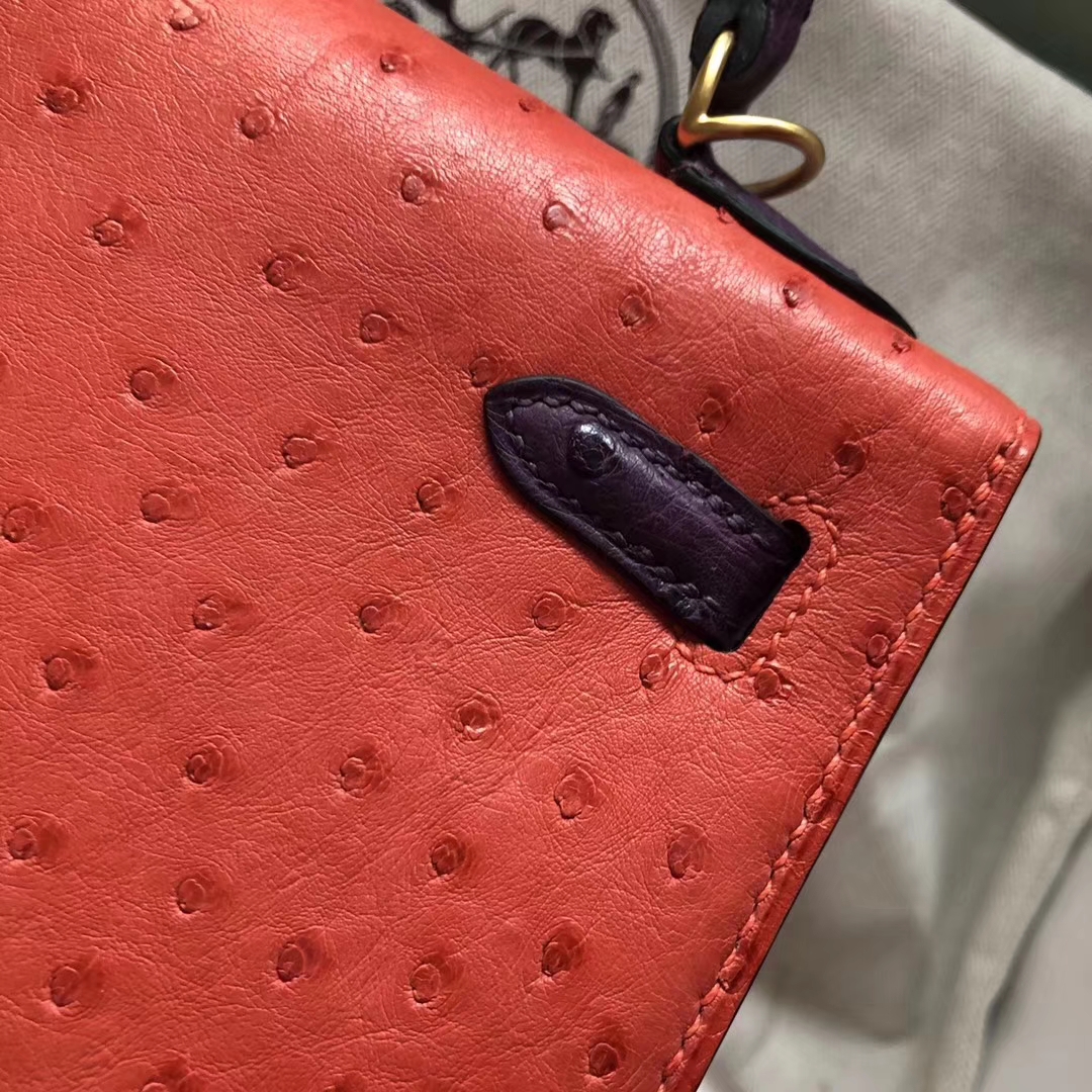 Hermès（爱马仕）Kelly Ostrich kk 鸵鸟 A5 杜鹃红 9w 梦幻紫 金扣 马蹄印 25cm