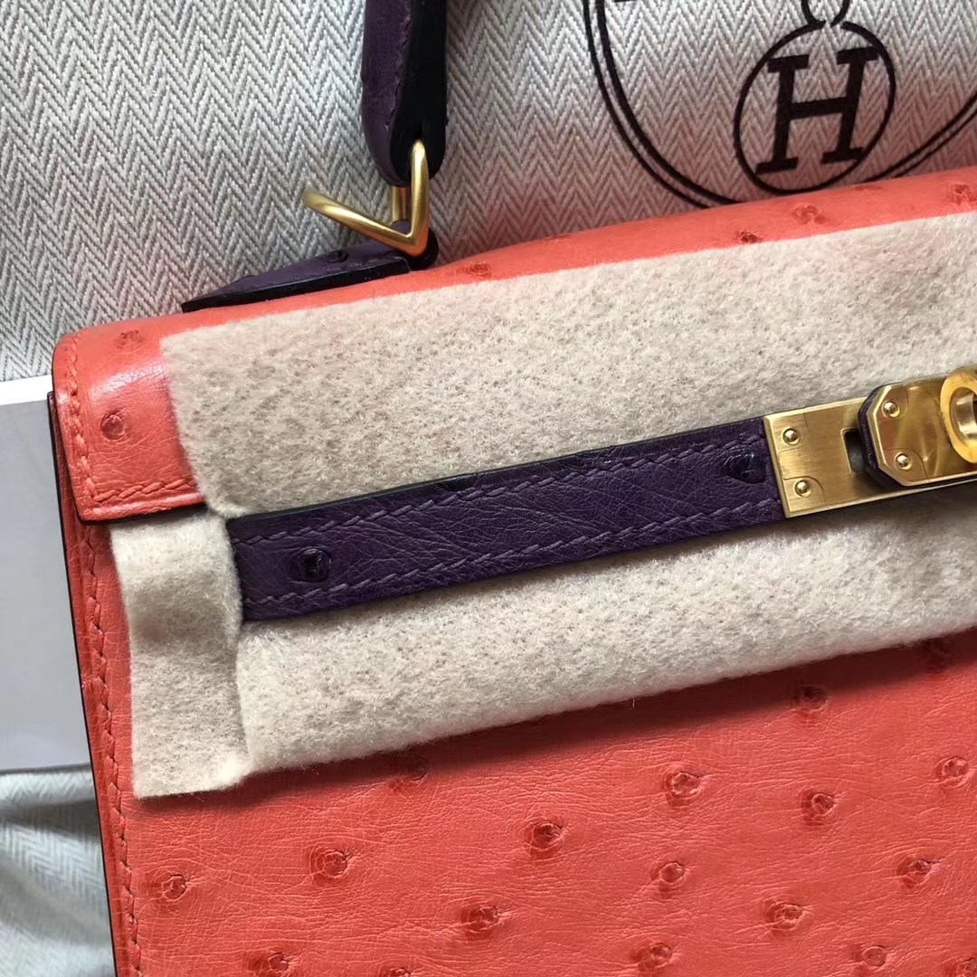 Hermès(爱马仕)Kelly Ostrich kk 鸵鸟 A5 杜鹃红 9w 梦幻紫 金扣 马蹄印 25cm-拉尔森鳄鱼皮具定制 - 爱马仕包包官网 Hermès(爱马仕)Kelly Ostrich kk 鸵鸟 A5 杜鹃红 9w 梦幻紫 金扣 马蹄印 25cm