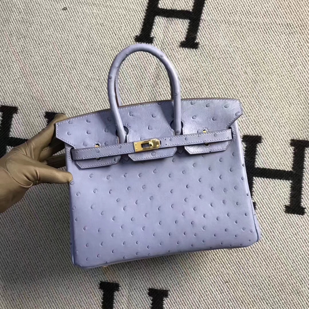 Hermès（爱马仕）brikin铂金包 南非鸵鸟皮 灰蓝色 金扣 现货 25cm