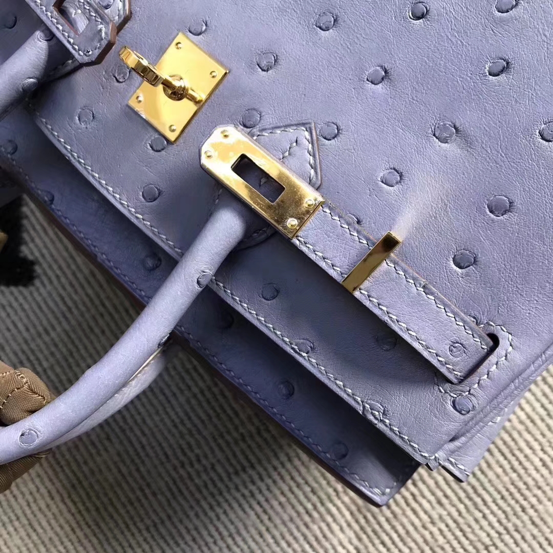 Hermès（爱马仕）brikin铂金包 南非鸵鸟皮 灰蓝色 金扣 现货 25cm