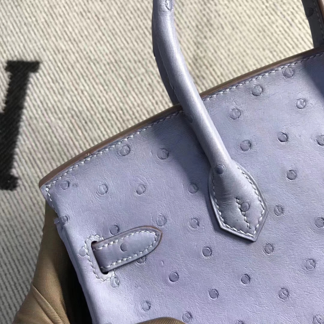 Hermès（爱马仕）brikin铂金包 南非鸵鸟皮 灰蓝色 金扣 现货 25cm
