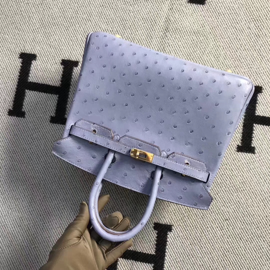 Hermès(爱马仕)brikin铂金包 南非鸵鸟皮 灰蓝色 金扣 现货 25cm-拉尔森鳄鱼皮具定制 - 爱马仕包包官网 Hermès(爱马仕)brikin铂金包 南非鸵鸟皮 灰蓝色 金扣 现货 25cm