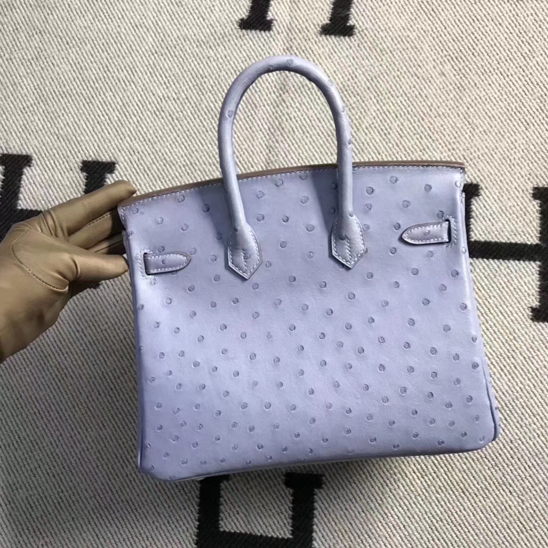 Hermès（爱马仕）brikin铂金包 南非鸵鸟皮 灰蓝色 金扣 现货 25cm