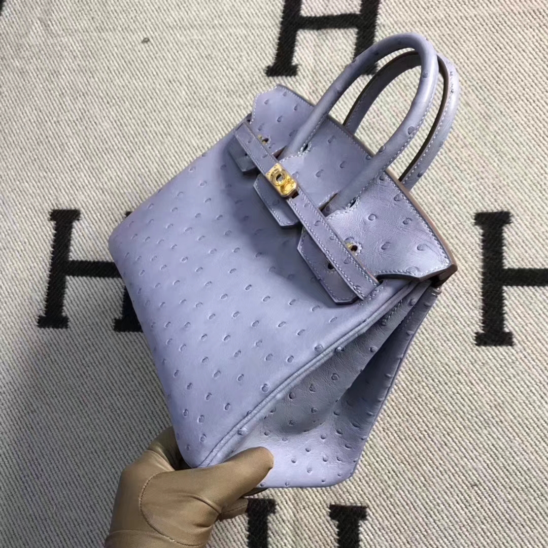 Hermès（爱马仕）brikin铂金包 南非鸵鸟皮 灰蓝色 金扣 现货 25cm