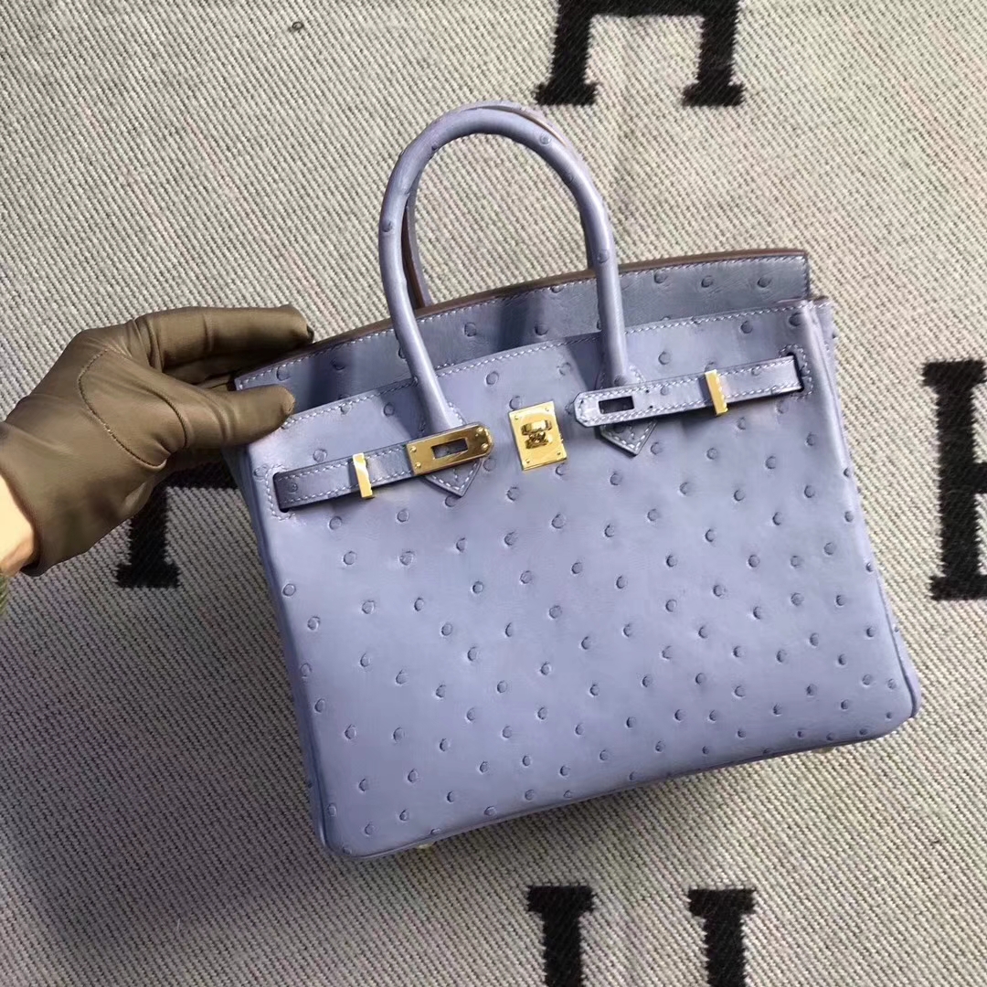 Hermès（爱马仕）brikin铂金包 南非鸵鸟皮 灰蓝色 金扣 现货 25cm