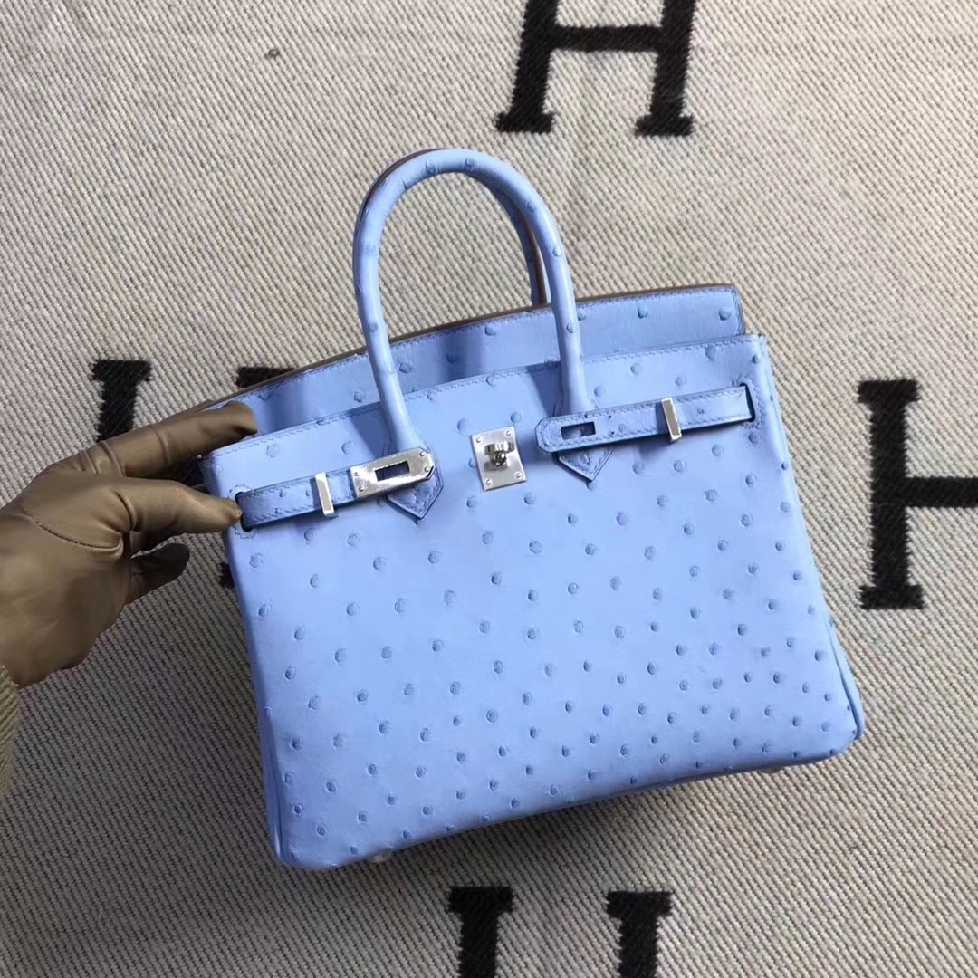 Hermès（爱马仕）brikin铂金包 南非鸵鸟皮 粉蓝色 银扣 现货 25cm