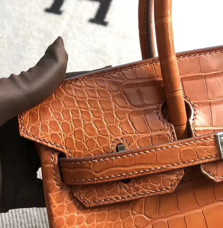 Hermès（爱马仕）Birkin铂金包 雾面美洲鳄鱼皮 土黄色 银扣 25cm