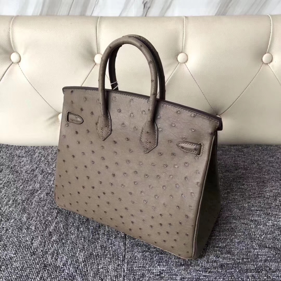 Hermès（爱马仕）Birkin铂金包 Ostrich kk鸵鸟  ck18 大象灰 金扣 顶级手缝 25cm 现货