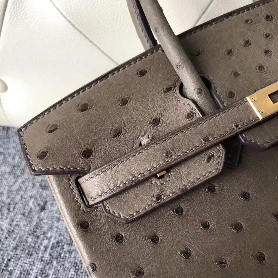 Hermès（爱马仕）Birkin铂金包 Ostrich kk鸵鸟  ck18 大象灰 金扣 顶级手缝 25cm 现货