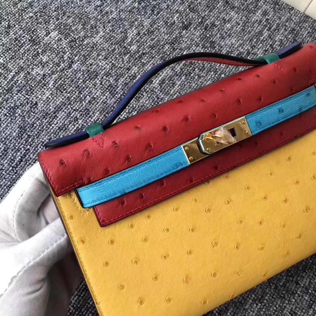 Hermès（爱马仕）Minikelly pochette 22cm Ostrich kk鸵鸟 彩虹包多拼色 金扣 马蹄印 限量