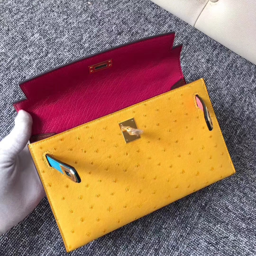 Hermès（爱马仕）Minikelly pochette 22cm Ostrich kk鸵鸟 彩虹包多拼色 金扣 马蹄印 限量