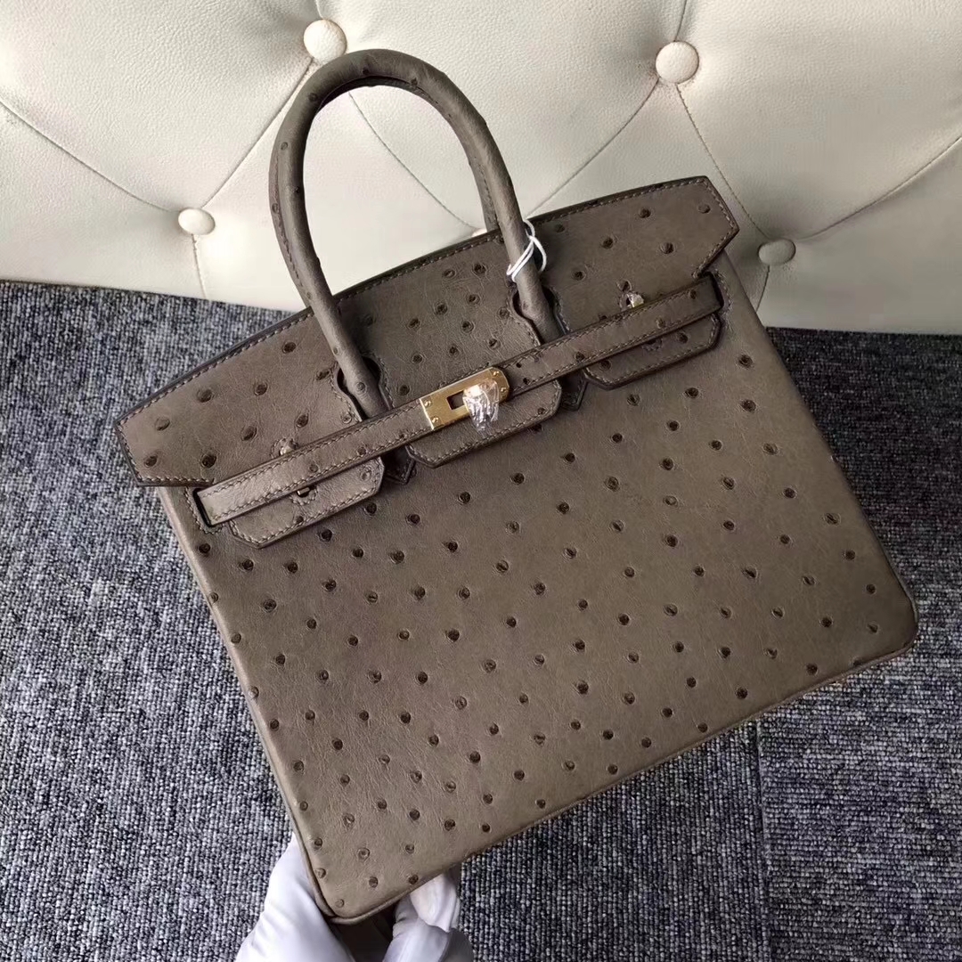 Hermès（爱马仕）Birkin铂金包 Ostrich kk鸵鸟  ck18 大象灰 金扣 顶级手缝 25cm 现货