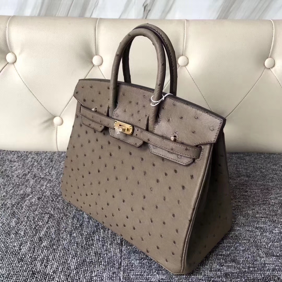 Hermès（爱马仕）Birkin铂金包 Ostrich kk鸵鸟  ck18 大象灰 金扣 顶级手缝 25cm 现货