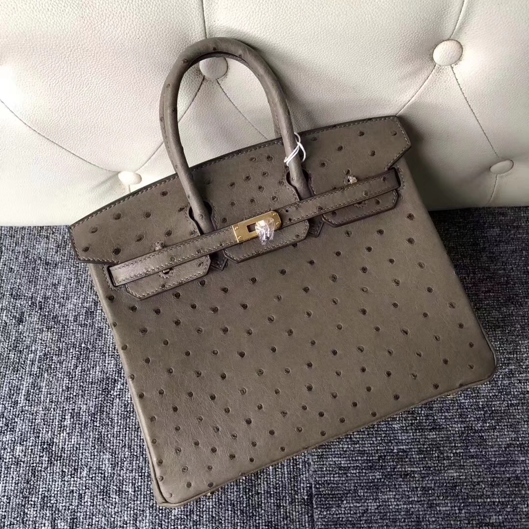 Hermès（爱马仕）Birkin铂金包 Ostrich kk鸵鸟  ck18 大象灰 金扣 顶级手缝 25cm 现货