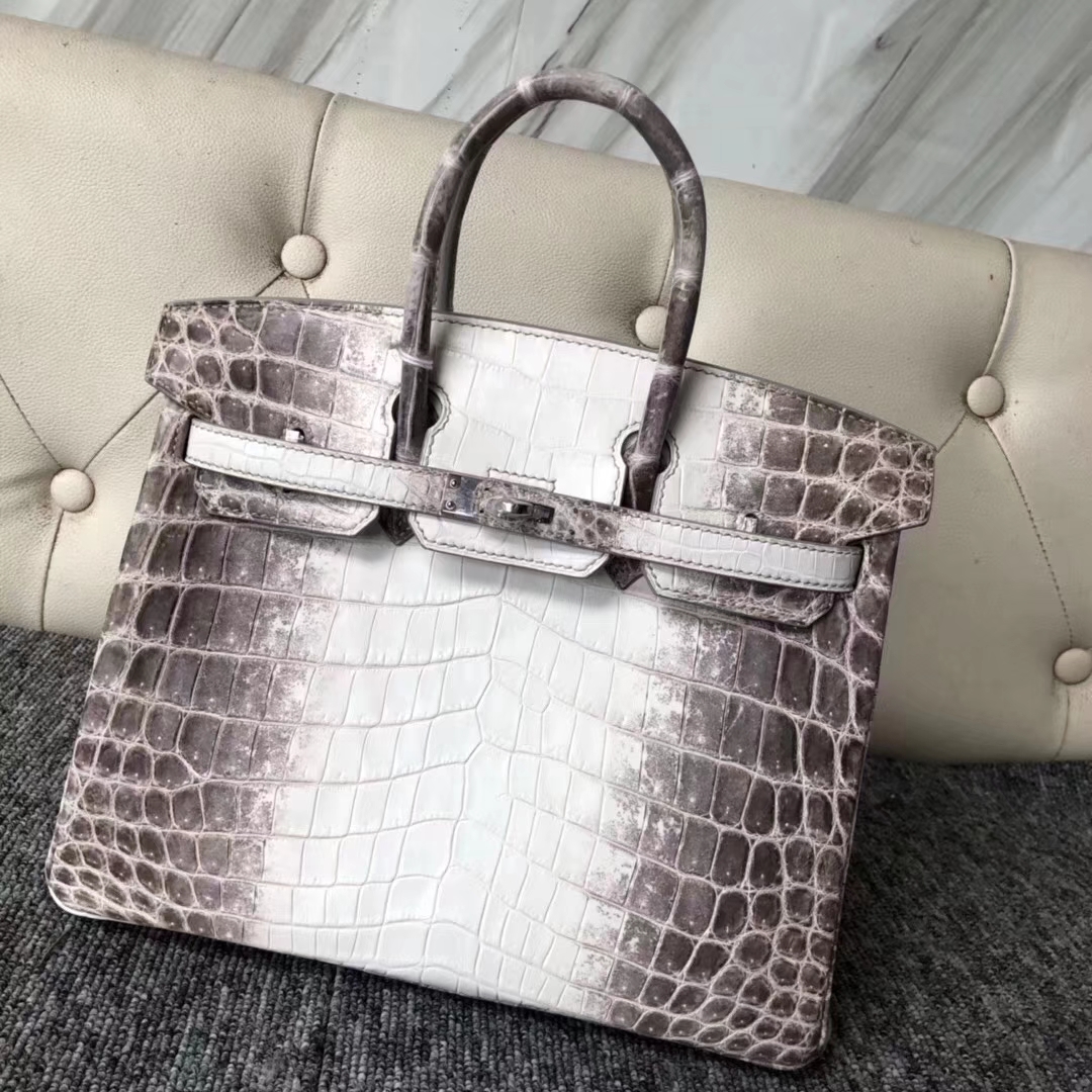 Hermès（爱马仕）Birkin 铂金包 Himalaya 喜马拉雅 银扣 包中皇后 难得深色 25cm 现货