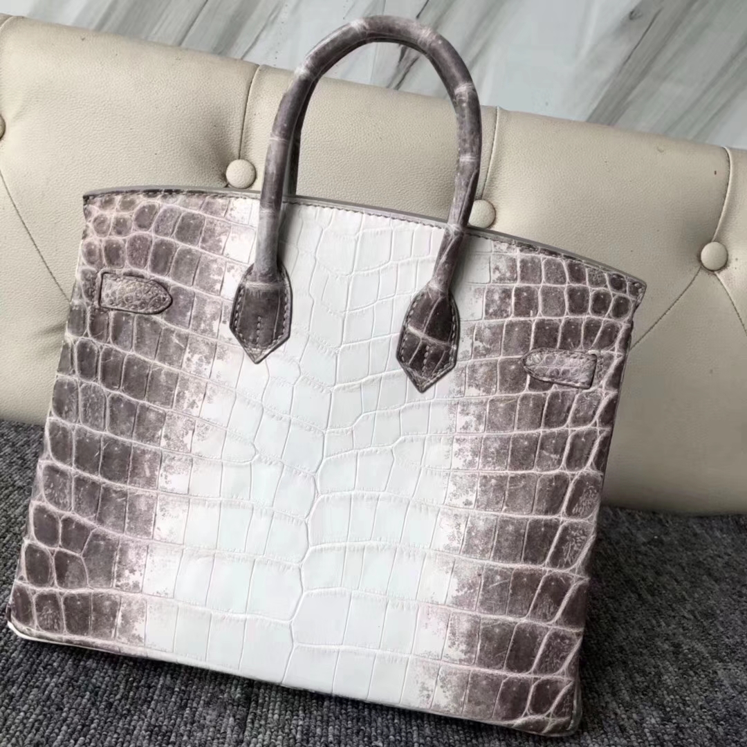 Hermès（爱马仕）Birkin 铂金包 Himalaya 喜马拉雅 银扣 包中皇后 难得深色 25cm 现货