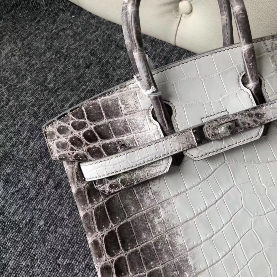 Hermès（爱马仕）Birkin 铂金包 Himalaya 喜马拉雅 银扣 包中皇后 难得深色 25cm 现货