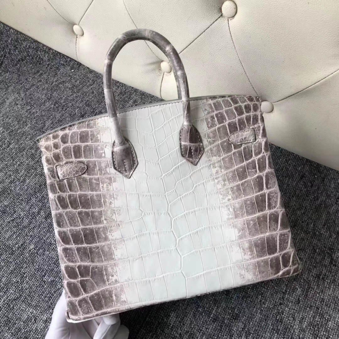 Hermès（爱马仕）Birkin 铂金包 Himalaya 喜马拉雅 银扣 包中皇后 难得深色 25cm 现货
