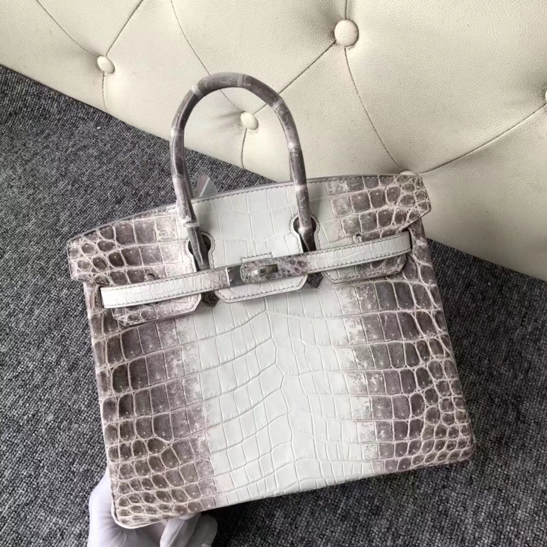 Hermès（爱马仕）Birkin 铂金包 Himalaya 喜马拉雅 银扣 包中皇后 难得深色 25cm 现货