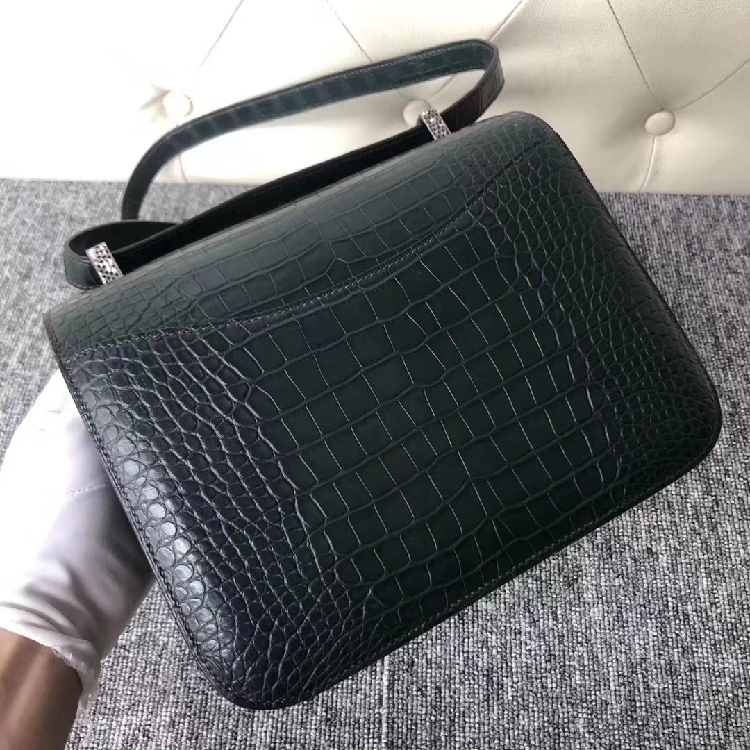 Hermès（爱马仕）Constance 空姐包 Alligator matt 雾面鳄鱼 1Ｔ 仙人掌绿 蜥蜴喜马拉雅色 24cm