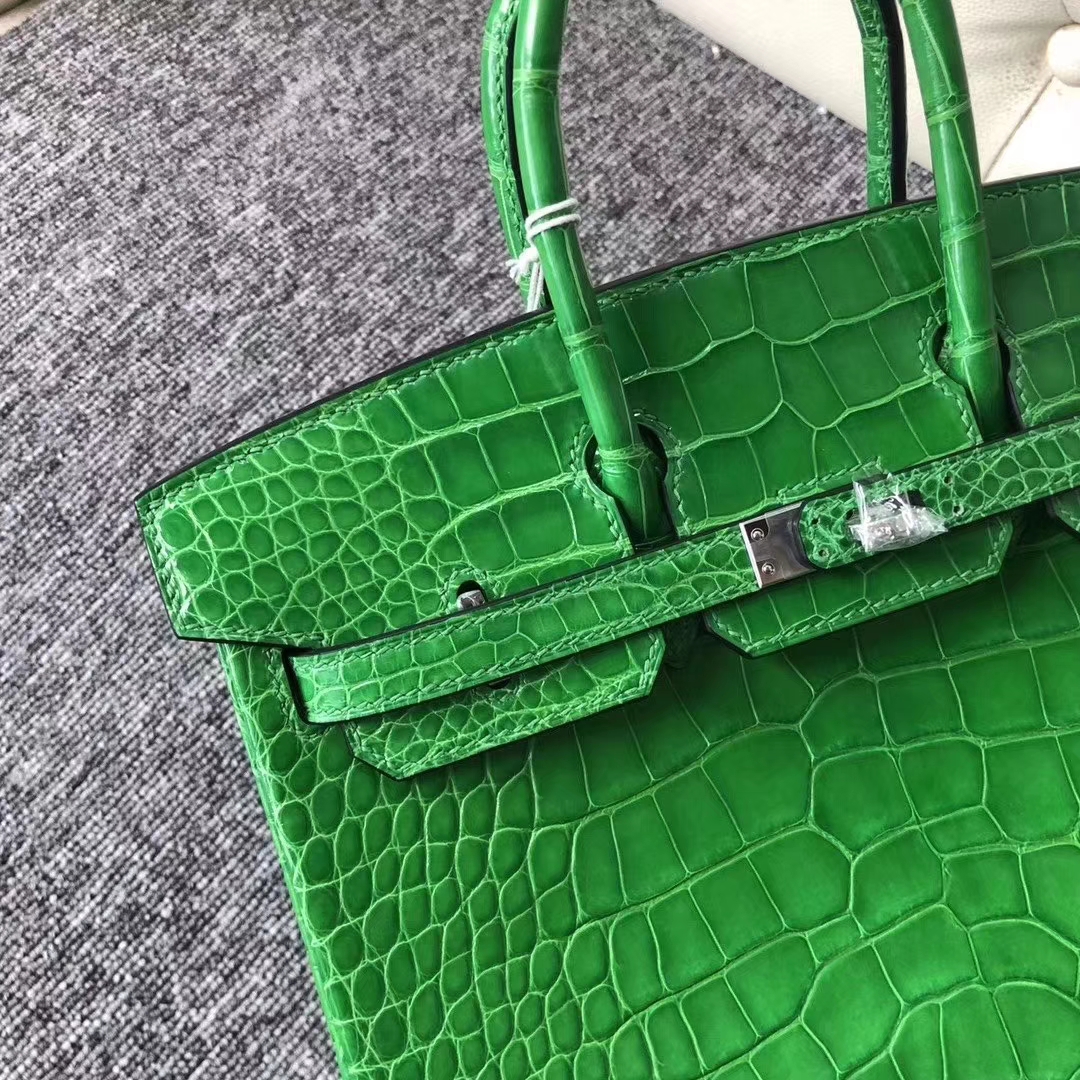 Hermès(爱马仕)Birkin 铂金包 亮面框框美洲鳄 1L仙人掌绿 顶级工艺 蜡线全手工 银扣 25cm-拉尔森鳄鱼皮具定制 - 爱马仕包包官网 Hermès(爱马仕)Birkin 铂金包 亮面框框美洲鳄 1L仙人掌绿 顶级工艺 蜡线全手工 银扣 25cm
