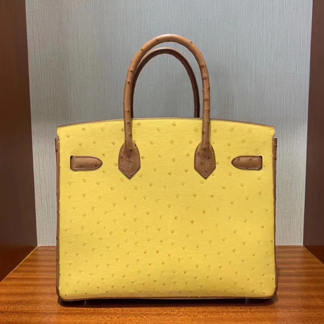 Hermès（爱马仕）Birkin 铂金包 ostrich kk鸵鸟 顶级鸵鸟皮 9D琥珀黄拼金棕色 蜡线全手工 拉丝金扣 30cm