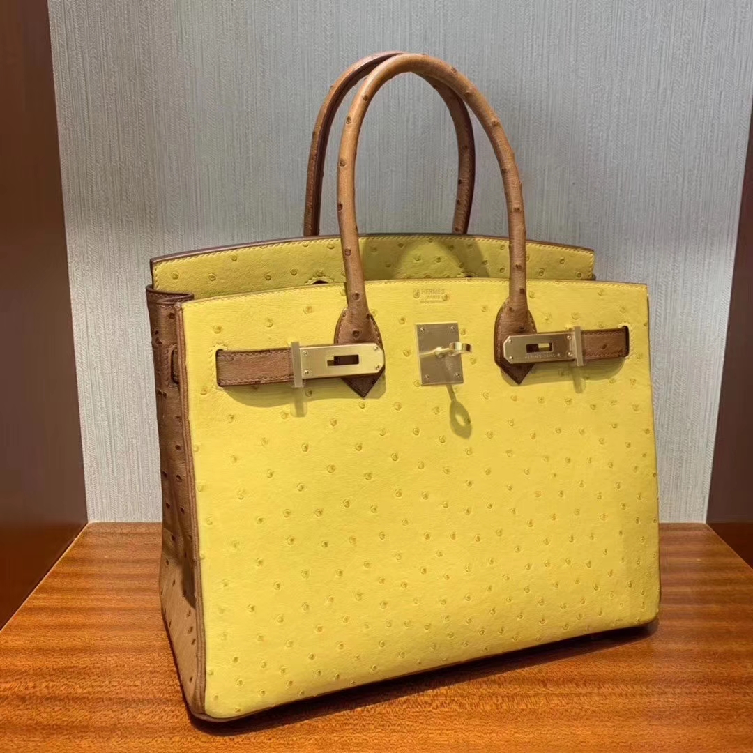 Hermès（爱马仕）Birkin 铂金包 ostrich kk鸵鸟 顶级鸵鸟皮 9D琥珀黄拼金棕色 蜡线全手工 拉丝金扣 30cm