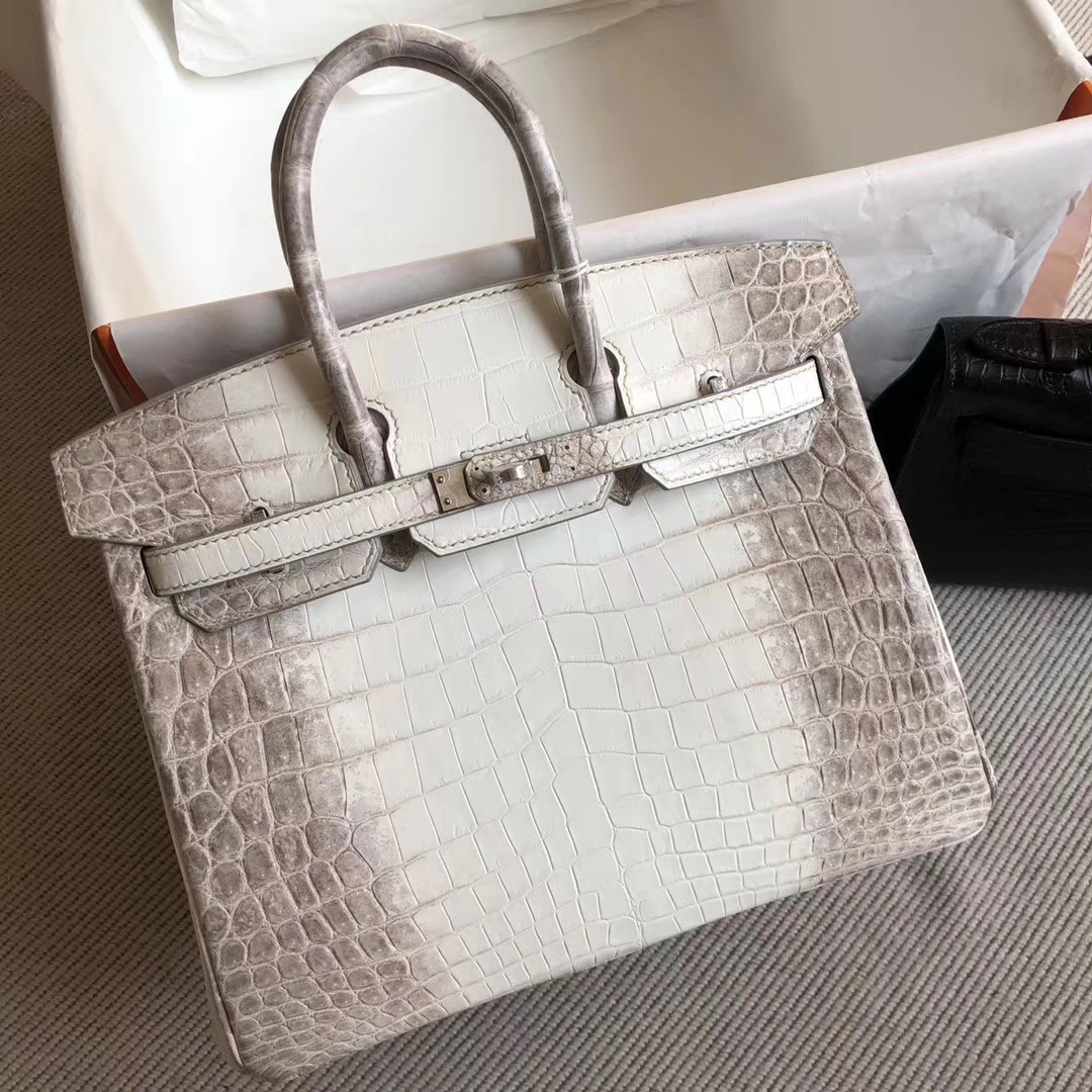 Hermès（爱马仕）Birkin 铂金包 Himalaya 喜马拉雅 银扣 25cm 顶级手缝 包中皇后 现货