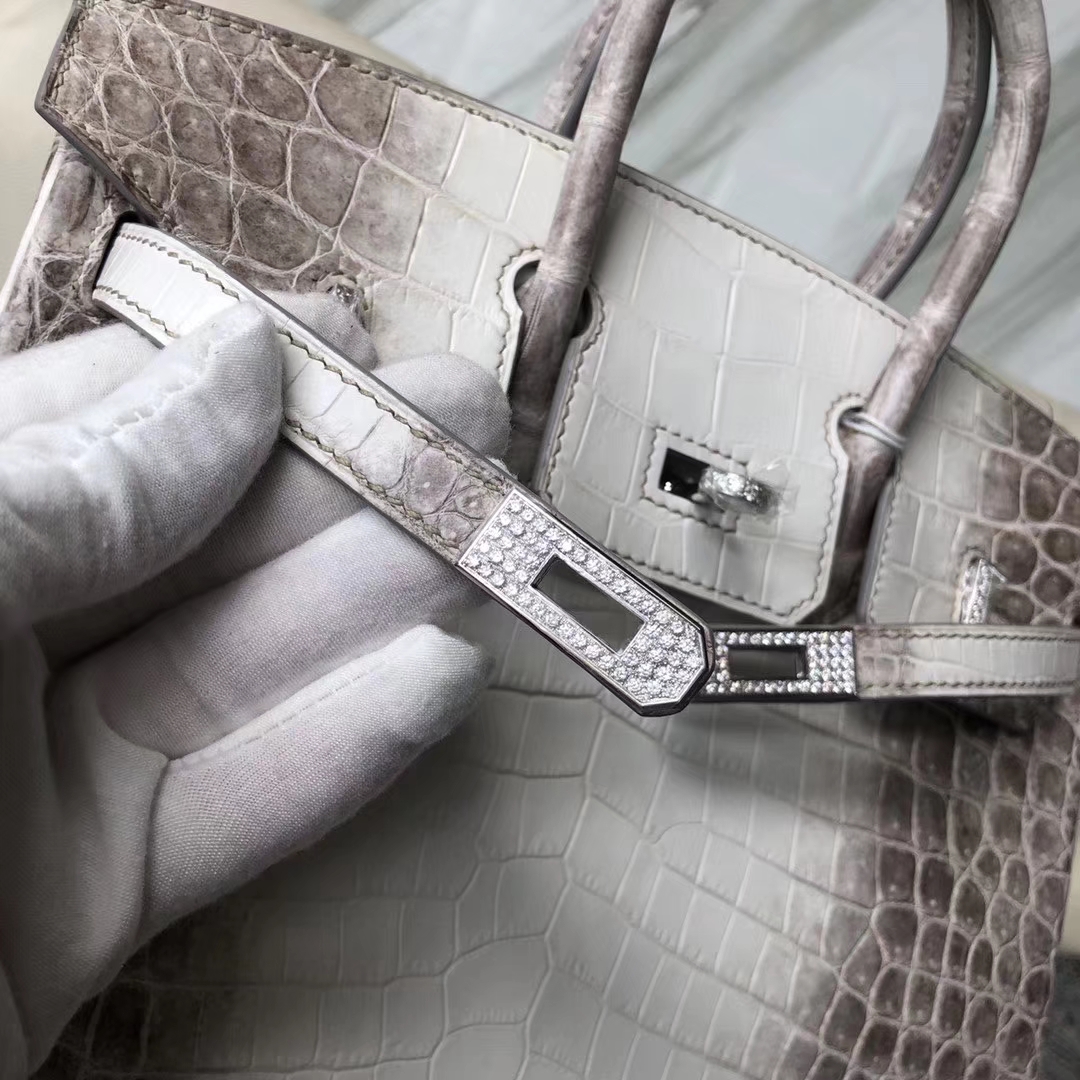 Hermès（爱马仕）Birkin 铂金包 Himalaya 钻扣 25cm