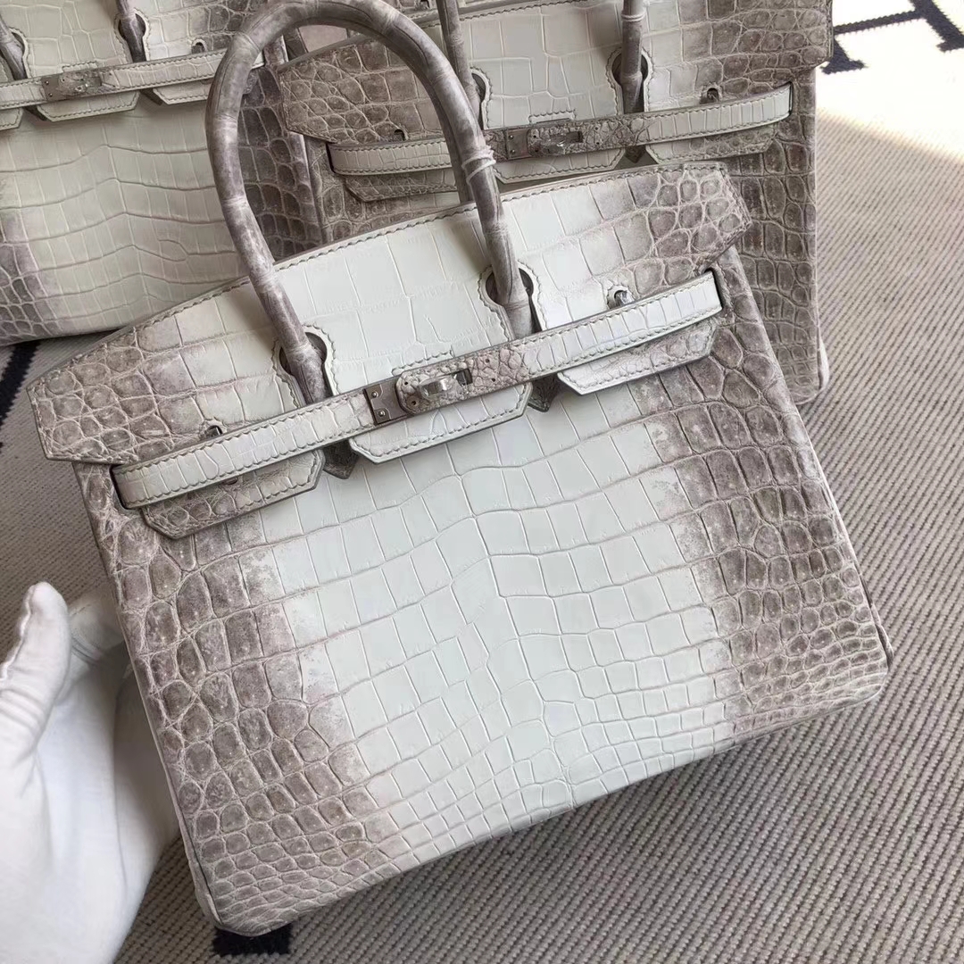 Hermès（爱马仕）Birkin 铂金包 Himalaya 银扣 25cm