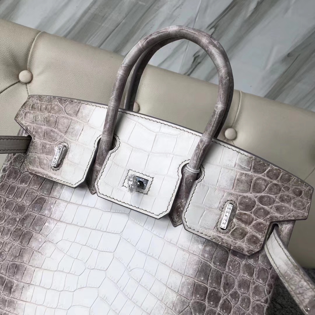 Hermès（爱马仕）Birkin 铂金包 Himalaya 钻扣 25cm