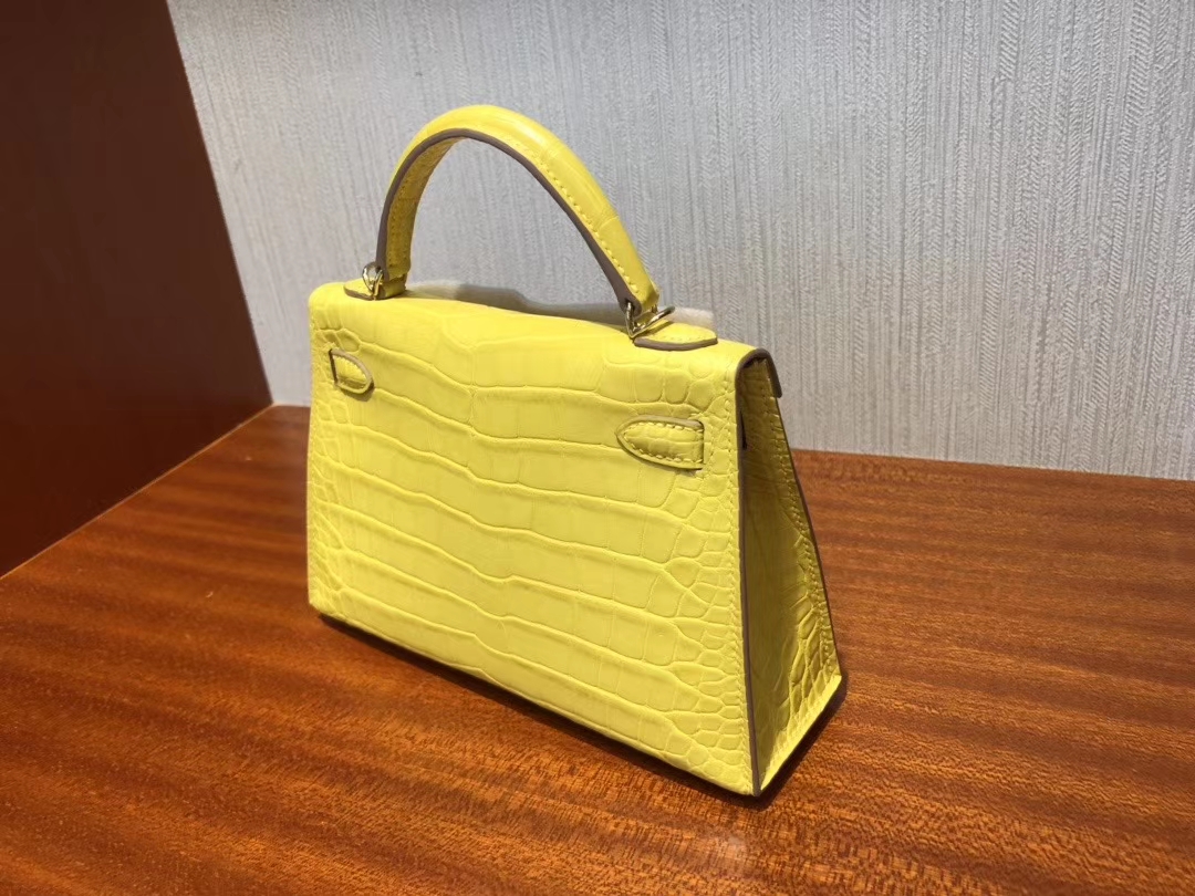 Hermès(爱马仕)Mini kelly ll Alligator matt 雾面鳄鱼 M9 冰凝黄 金盏花黄 金扣 现货-拉尔森鳄鱼皮具定制 - 爱马仕包包官网 Hermès(爱马仕)Mini kelly ll Alligator matt 雾面鳄鱼 M9 冰凝黄 金盏花黄 金扣 现货