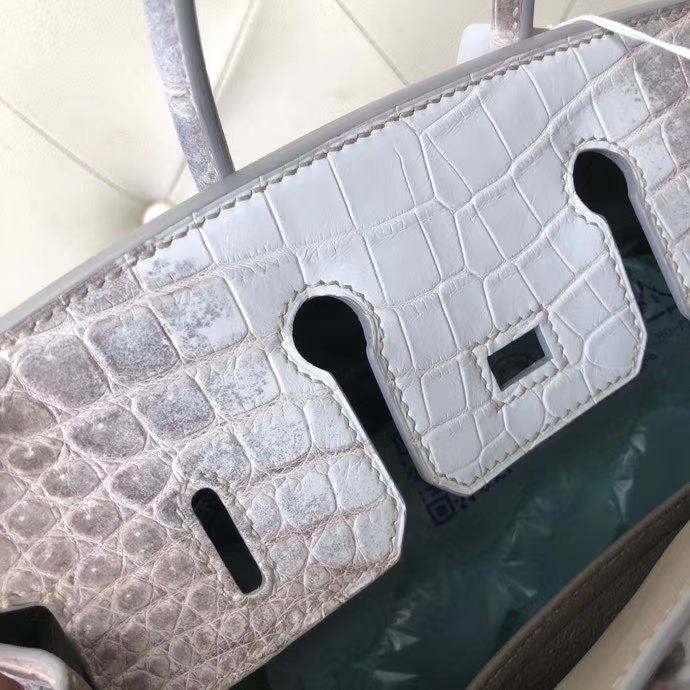 Hermès（爱马仕）Birkin 25cm Himalaya 喜马拉雅  银扣 顶级手缝 品相完美