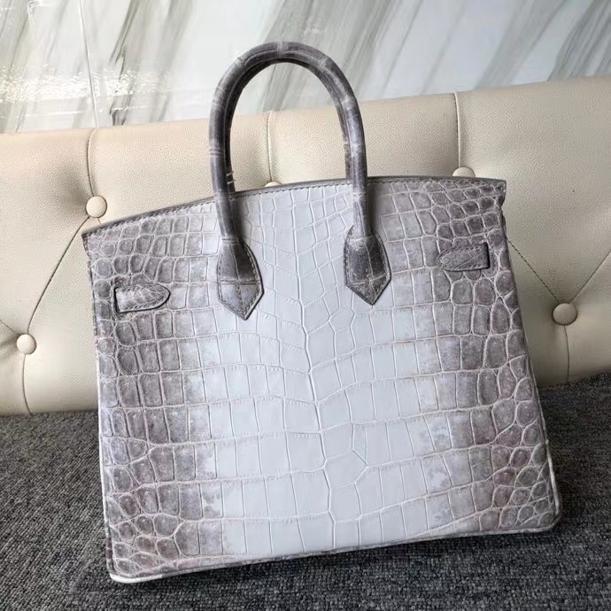 Hermès（爱马仕）Birkin 25cm Himalaya 喜马拉雅  银扣 顶级手缝 品相完美