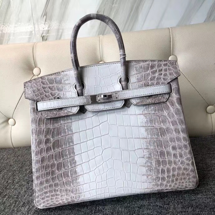 Hermès（爱马仕）Birkin 25cm Himalaya 喜马拉雅  银扣 顶级手缝 品相完美