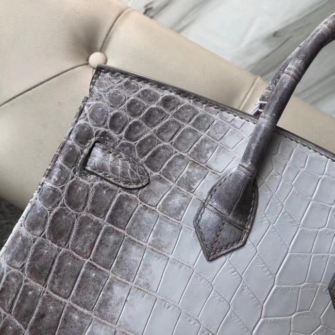 Hermès（爱马仕）Birkin 25cm Himalaya 喜马拉雅  银扣 顶级手缝 品相完美