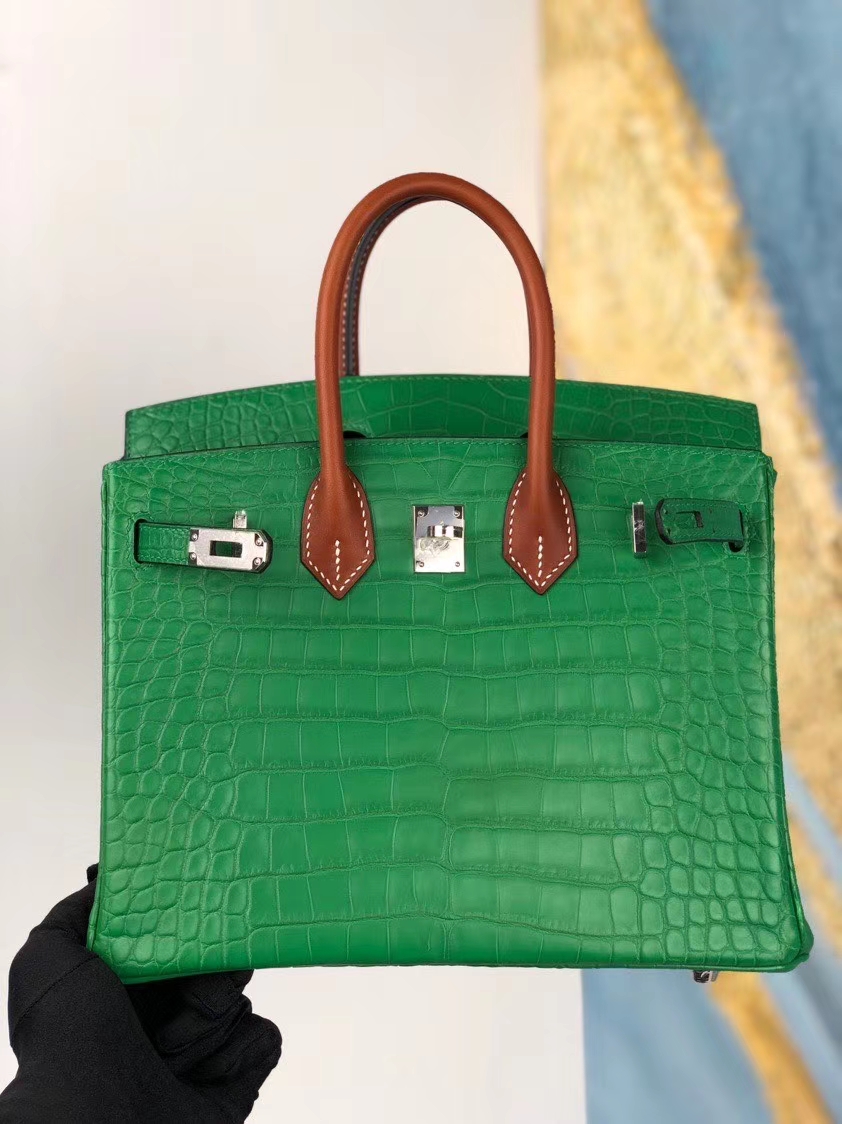 Hermès（爱马仕）Birkin 25cm Alligator matt 雾面鳄鱼 仙人掌绿拼马鞍皮金棕色 银扣 顶级手缝 现货