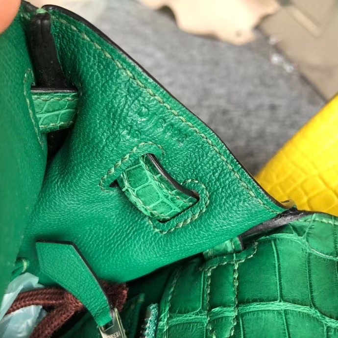 Hermès(爱马仕)Kelly 25cm Alligator matt 雾面鳄鱼 1L仙人掌绿 银扣 顶级手缝 现货-拉尔森鳄鱼皮具定制 - 爱马仕包包官网 Hermès(爱马仕)Kelly 25cm Alligator matt 雾面鳄鱼 1L仙人掌绿 银扣 顶级手缝 现货