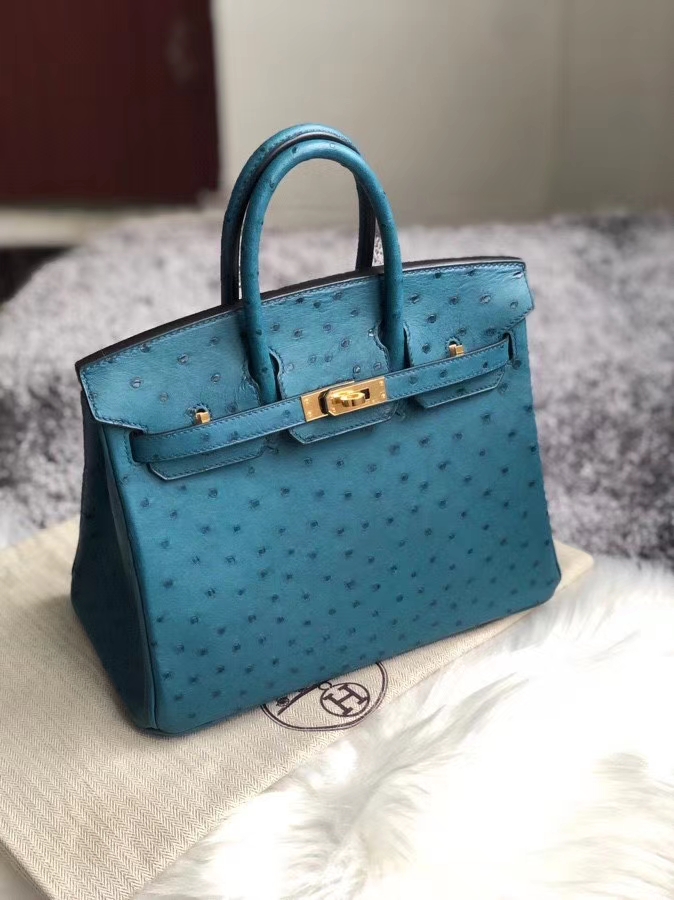 Hermès(爱马仕)Birkin 25cm Ostrich kk鸵鸟 7C 珊瑚蓝 金扣 顶级手缝 现货-拉尔森鳄鱼皮具定制 - 爱马仕包包官网 Hermès(爱马仕)Birkin 25cm Ostrich kk鸵鸟 7C 珊瑚蓝 金扣 顶级手缝 现货