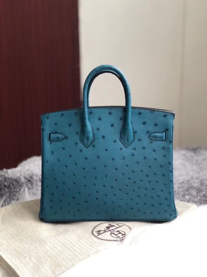 Hermès(爱马仕)Birkin 25cm Ostrich kk鸵鸟 7C 珊瑚蓝 金扣 顶级手缝 现货-拉尔森鳄鱼皮具定制 - 爱马仕包包官网 Hermès(爱马仕)Birkin 25cm Ostrich kk鸵鸟 7C 珊瑚蓝 金扣 顶级手缝 现货