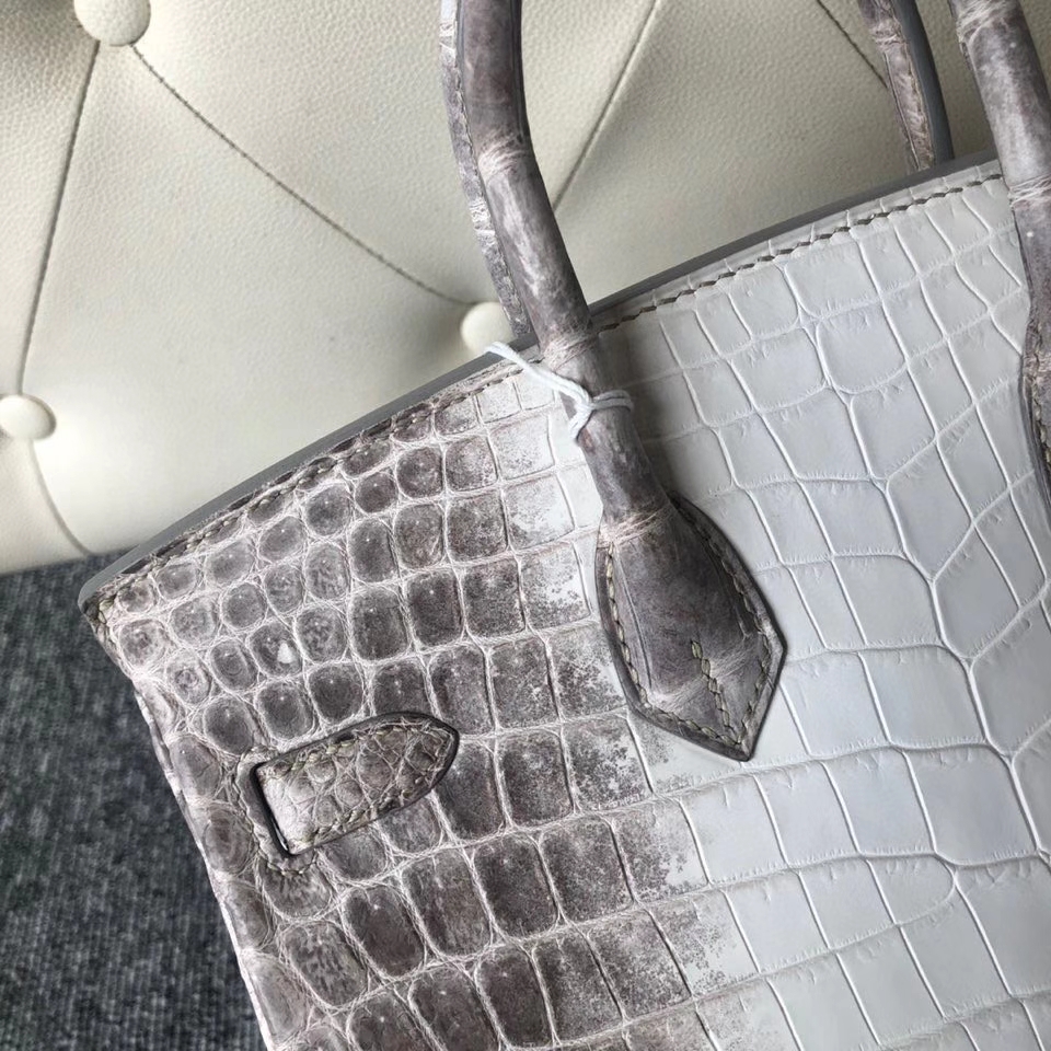 Hermès（爱马仕）Birkin 25cm Himalaya 喜马拉雅  银扣 顶级手缝 完美品相